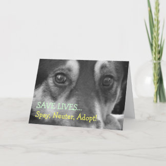 Tarjeta Spay Neuter Adopt Pet Dog Rescue Foster