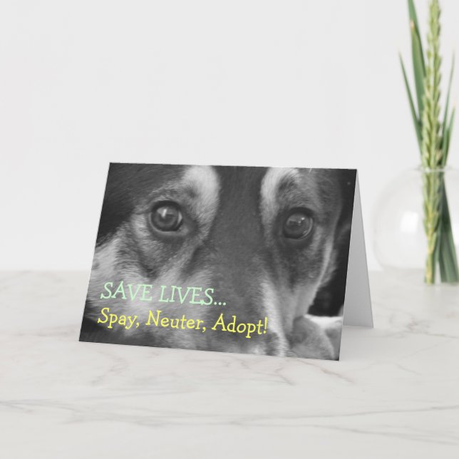 Tarjeta Spay Neuter Adopt Pet Dog Rescue Foster (Anverso)