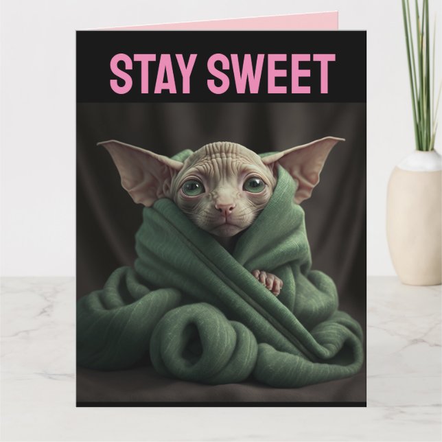 TARJETA SPHINX CUTE HAIRLESS CAT VALENTINE'S DAY GREETING (Anverso)