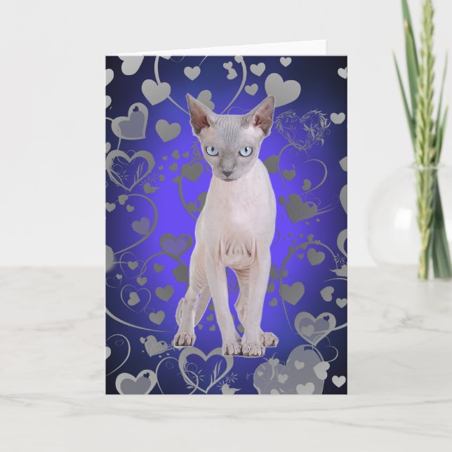 Tarjeta Sphynx cat (Anverso)