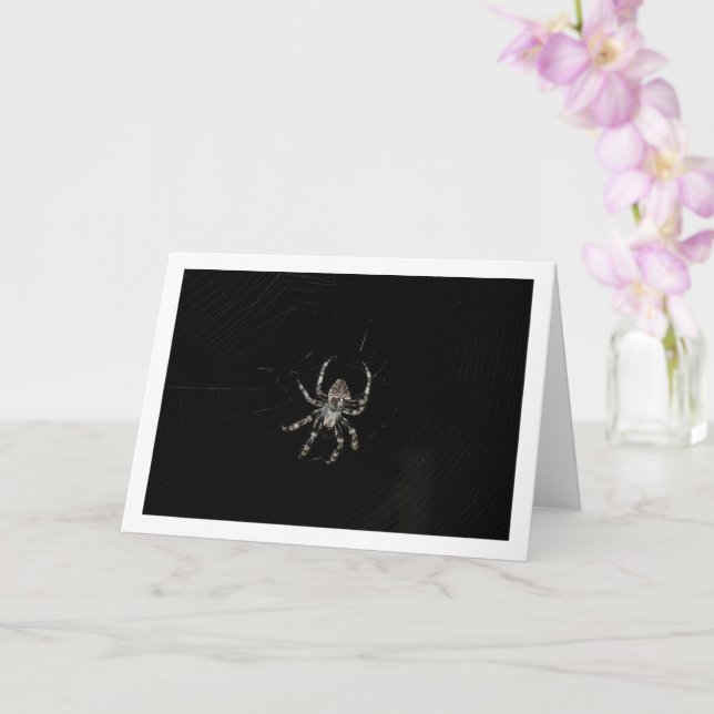 Tarjeta Spider (Orquídea)