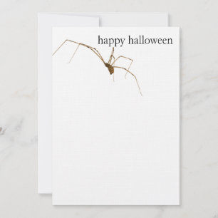 Tarjeta Spider