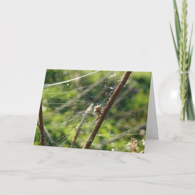 Tarjeta Spider Web Bokeh (Anverso)