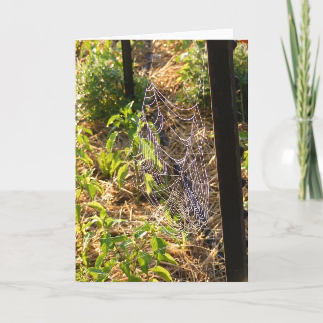 Tarjeta Spider Web y Dew Drops Card (en blanco) (Anverso)