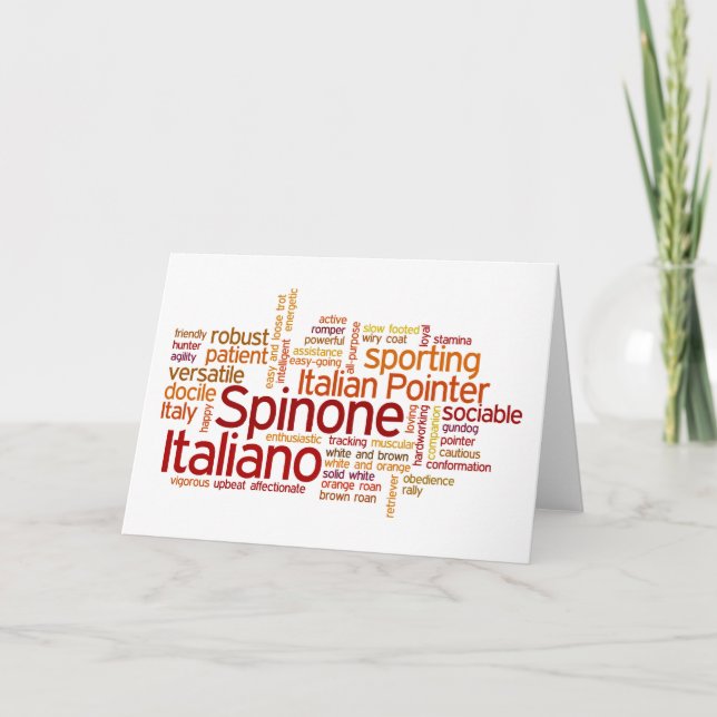 Tarjeta Spinone Italiano (Anverso)