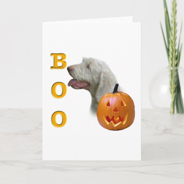 Tarjeta Spinone Italiano Boo (Anverso)