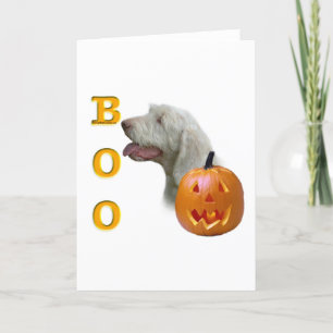 Tarjeta Spinone Italiano Boo