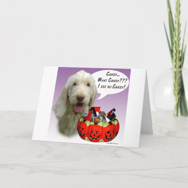Tarjeta Spinone Italiano Halloween Candy (Anverso)
