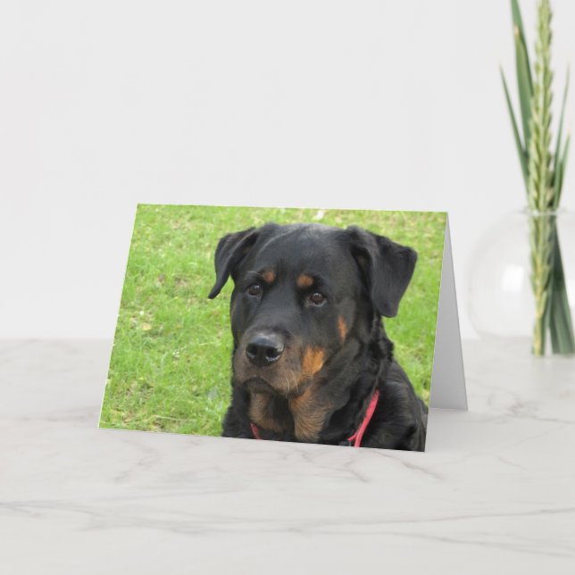 Tarjeta Spirit Rottweiler Miss You Card (Anverso)