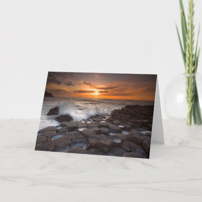 Tarjeta Splash (Anverso)