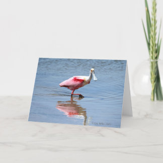 Tarjeta Spoonbill-5-05