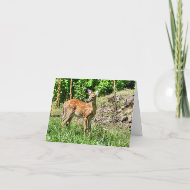 Tarjeta Spoted Fawn (Anverso)