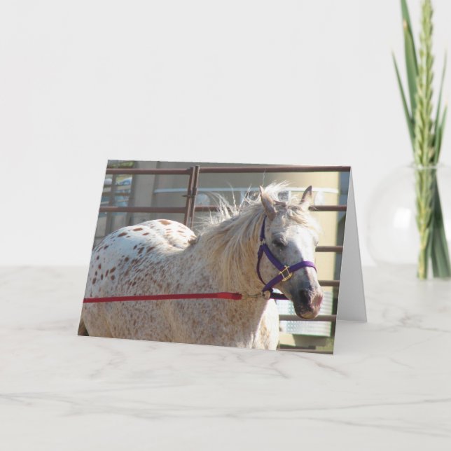 Tarjeta Spoted Pony (Anverso)