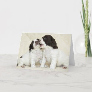 Tarjeta Springer Puppy Friends