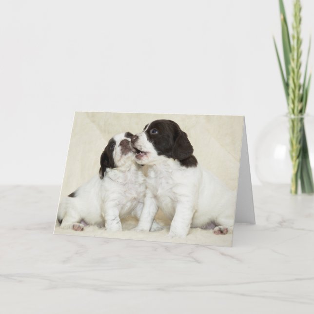 Tarjeta Springer Puppy Friends (Anverso)