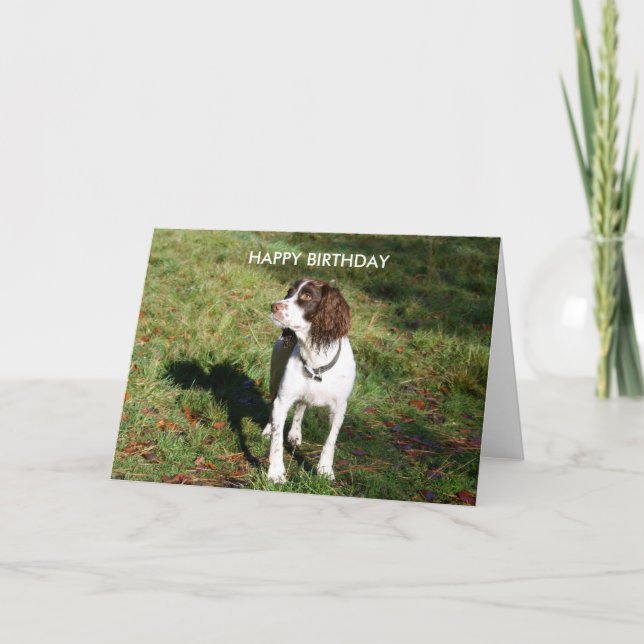 Tarjeta Springer Spaniel HAPPY BIRTHDAY (Anverso)