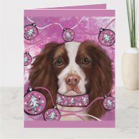 SPRINGER SPANIEL INGLÉS       