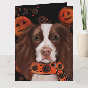 Tarjeta Springer Spaniel Inglés