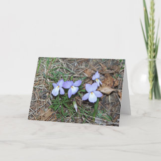 Tarjeta Springtime Violets Greeting Card