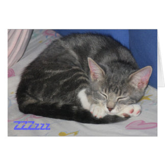 Tarjeta Sq de la siesta del gatito de las manoplas