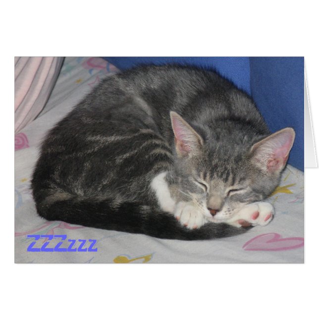 Tarjeta Sq de la siesta del gatito de las manoplas (Anverso (Horizontal))