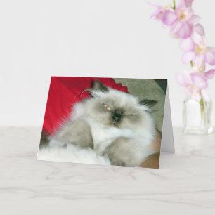 Tarjeta Squinty Himmy