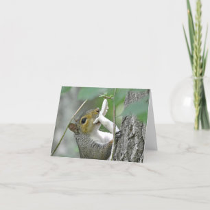 Tarjeta Squirrel Notecard