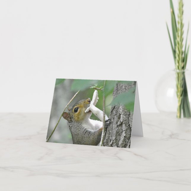 Tarjeta Squirrel Notecard (Anverso)