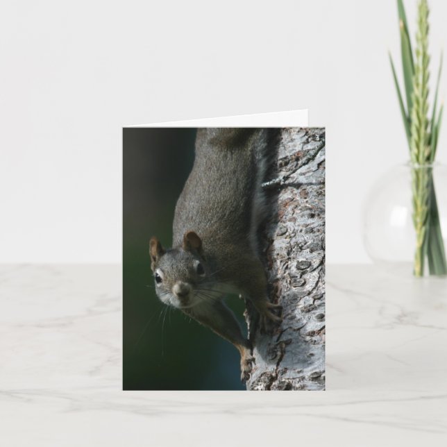 Tarjeta Squirrel Notecard 1 (Anverso)