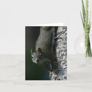 Tarjeta Squirrel Notecard 1