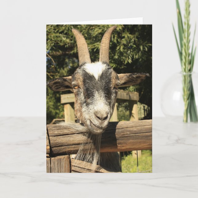 Tarjeta Sr. Goat (Anverso)