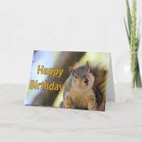 Sr. Squirrel deseando un feliz cumpleaños