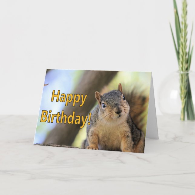Tarjeta Sr. Squirrel deseando un feliz cumpleaños (Anverso)