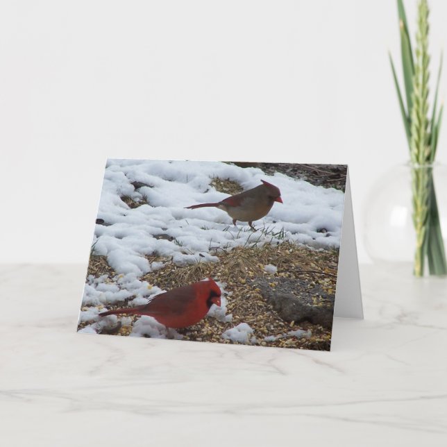 Tarjeta Sr.&Sra. Cardinal Dining (Anverso)