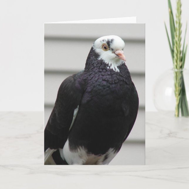 Tarjeta Sra. Pigeon (Anverso)