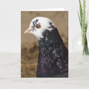 Tarjeta Sra. Pigeon