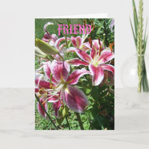 Tarjeta Srargazer Lilies/Friend