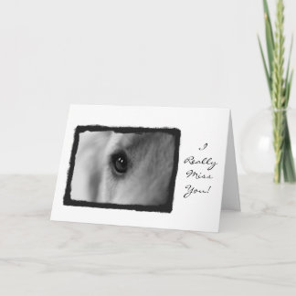 Tarjeta Srta. que usted carda