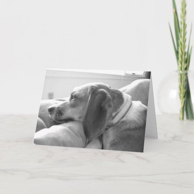 Tarjeta Srta. usted (Anverso)