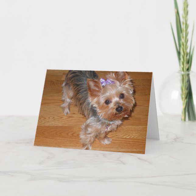 Tarjeta Srta. You (Anverso)