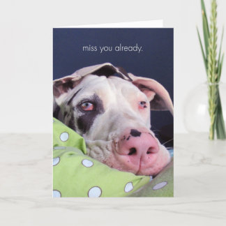 Tarjeta Srta. You Already