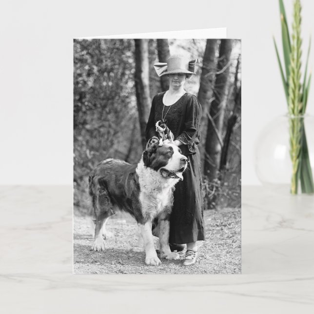 Tarjeta St Bernard y Boston Terrier, 1925 (Anverso)