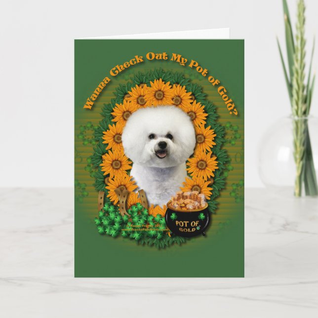Tarjeta St Patricks - mina de oro - Bichon Frise (Anverso)