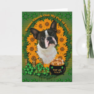 Tarjeta St Patricks - mina de oro - Boston Terrier
