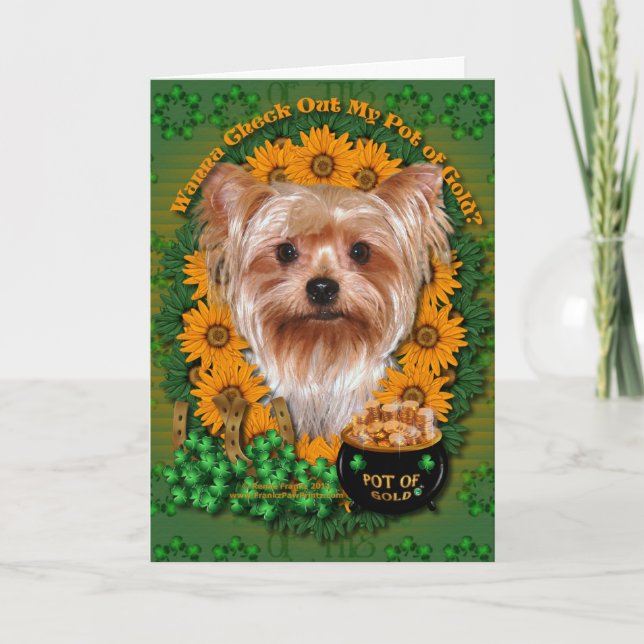 Tarjeta St Patricks - mina de oro - Yorkshire Terrier (Anverso)