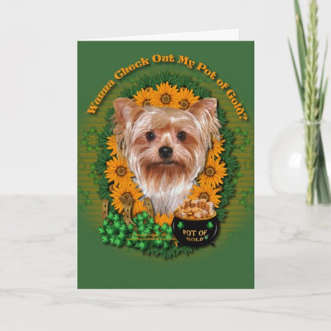 Tarjeta St Patricks - mina de oro - Yorkshire Terrier (Anverso)
