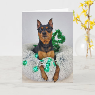 Tarjeta St Pats MinPin