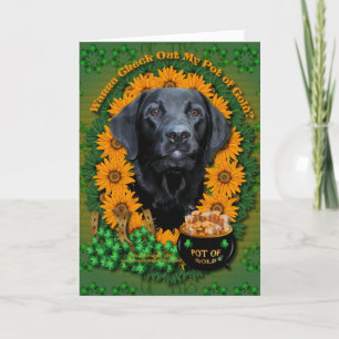 Tarjeta Sta Patrones - Oro de Oro - Labrador - Negro