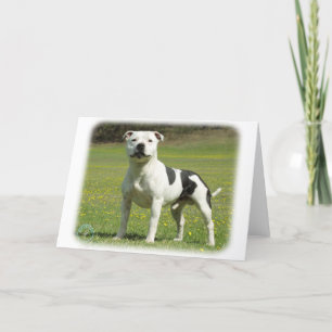 Tarjeta Staffordshire Bull Terrier