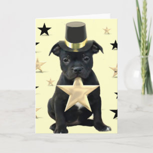 Tarjeta Staffordshire Bull Terrier